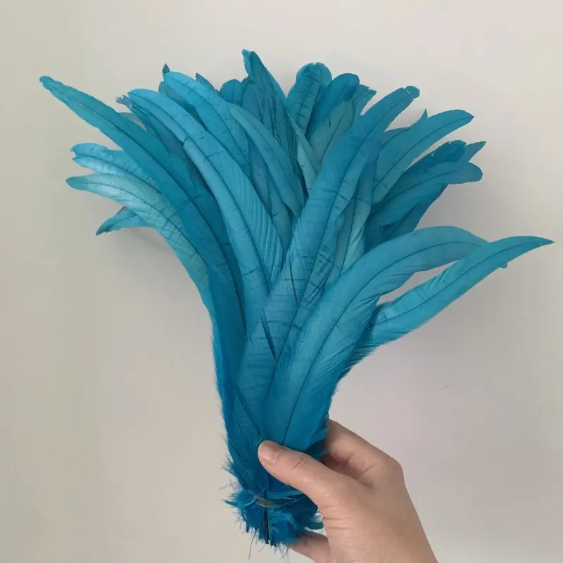 Hahnenschwanzfeder, 100 Stück, Rot, Schwarz, alle Größen, DIY-Feder, Kleidung, Schmuck, Accessoires, Hochzeitszubehör, Leistung erforderlich – Detail 7