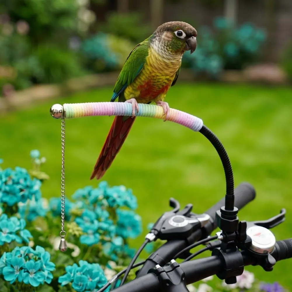 Adjustable Cycling Bird Rack Portable with Anti-Escape Chain Bird Perch Stand Extension Rack Universal Parrot Perch