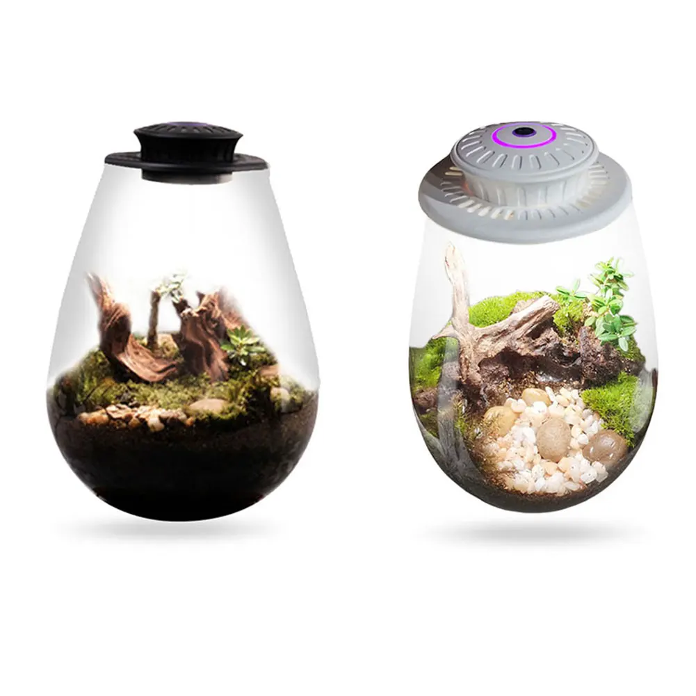 

Fern Moss Micro-Landscape Grow Light 6500K Desktop Miniature Plant Light LED Full Spectrum Growing Lamp for Indoor Plant Growth