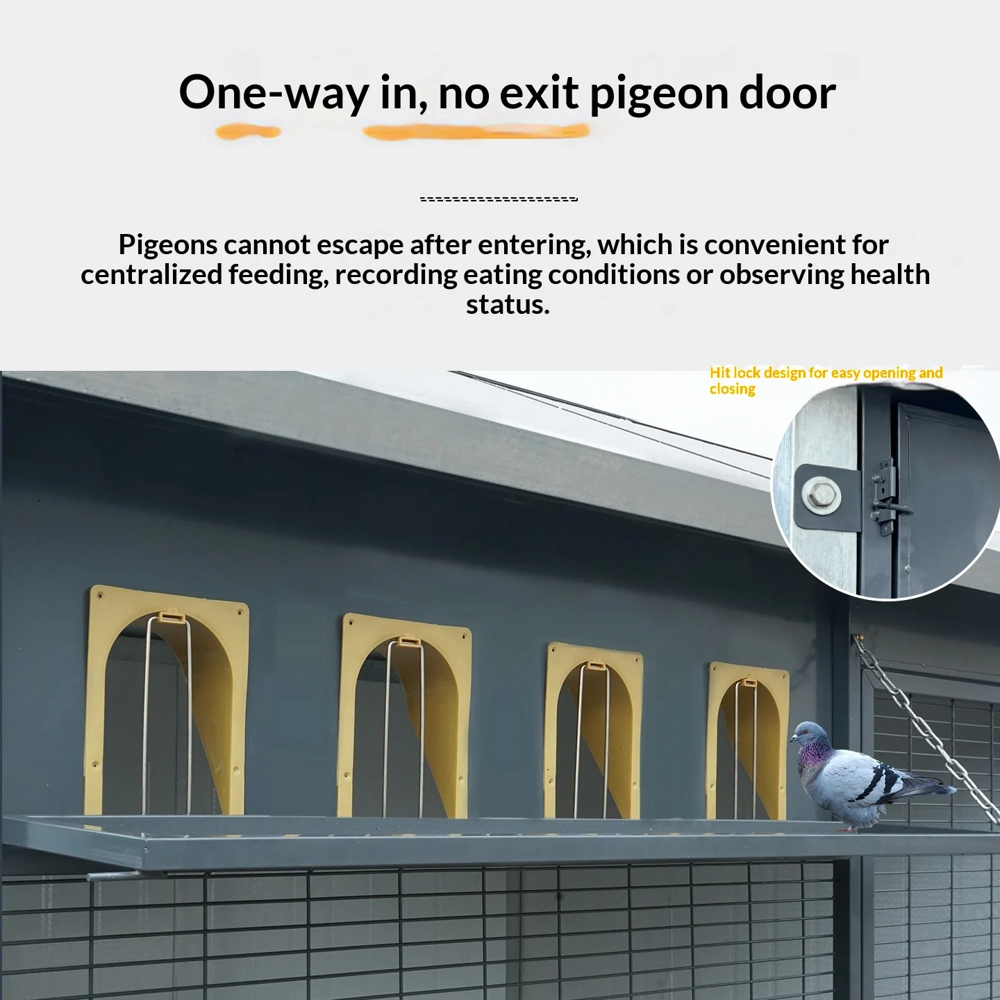 Modern Bird Cage Carbon Steel Anti-Escape Design Carrier for Large/Extra Large Breeding Raising Outdoor