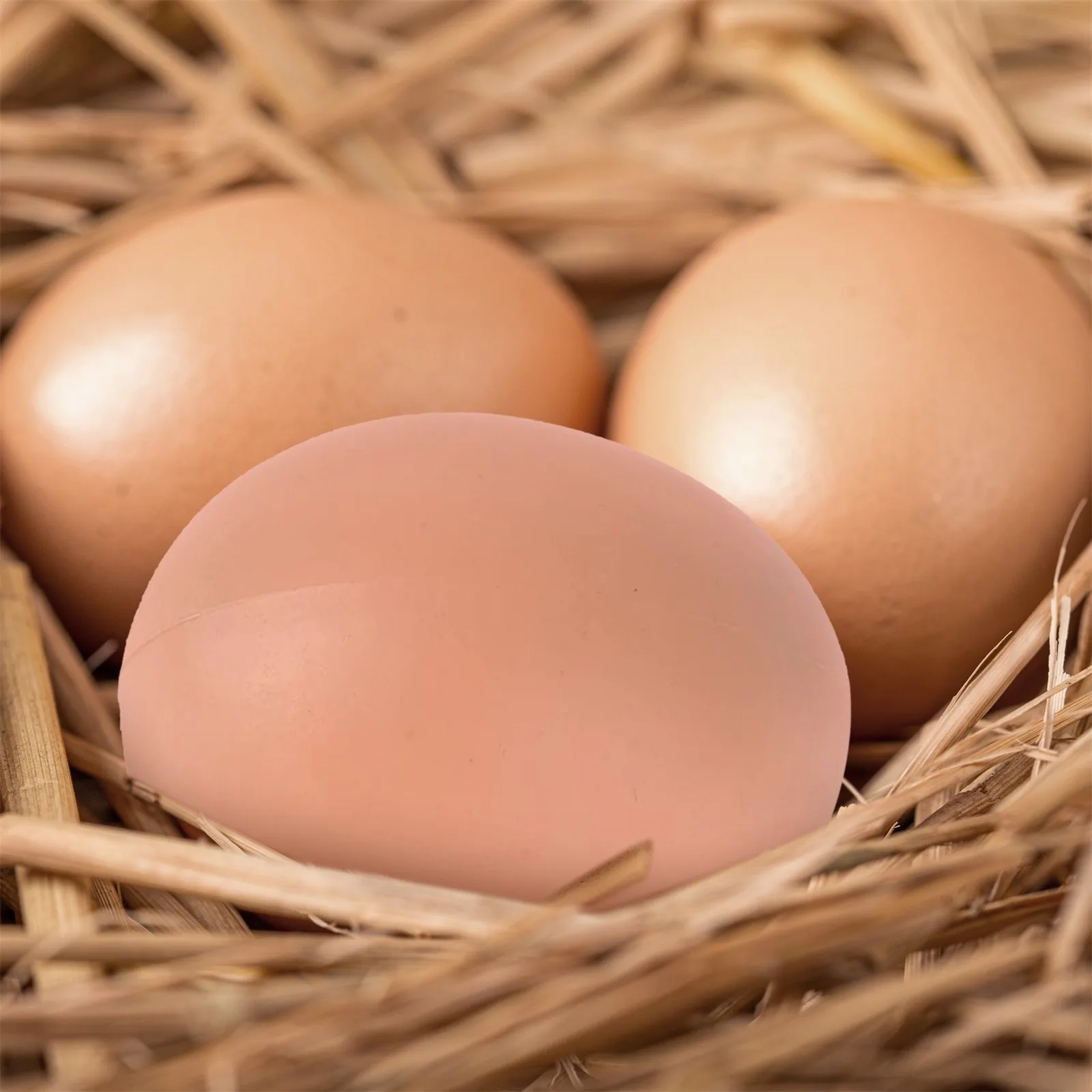 6 Pcs Mannequin Hatching Egg Hen Poultry Hatch Breeding Simulation Fake Plastic Artificial Eggs Encourage Hens To Lay Eggs