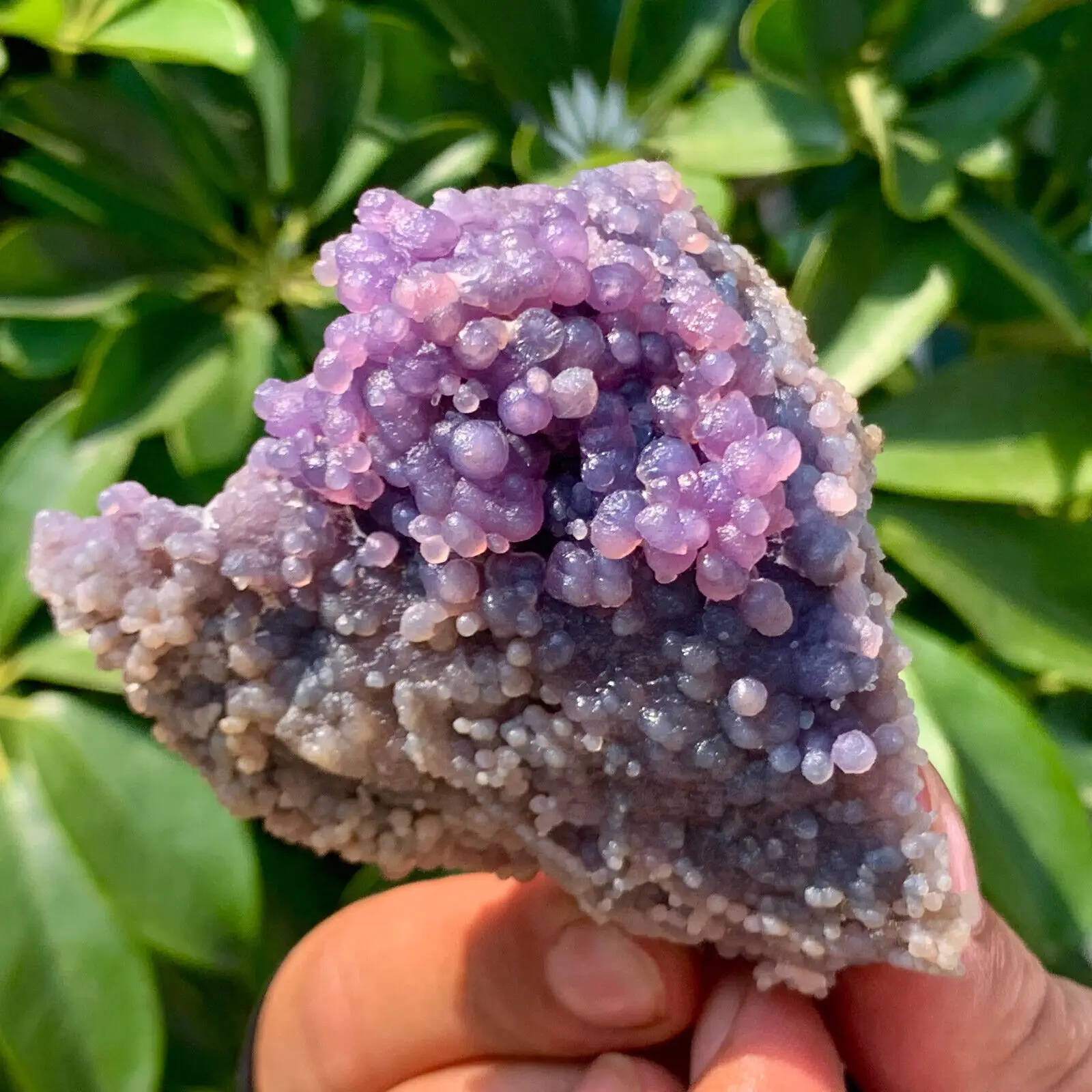 Best Natural Grape Agate Original Ore Quartz Crystal Mineral Reiki Healing Wealth Gem Home Office Degaussing Decoration