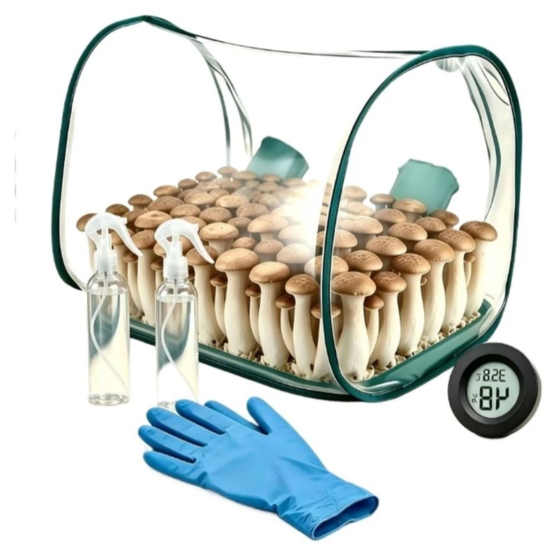 Aug. Bouncing Mushroom Cultivation Tent Mushroom Grow Still Air Box Portable Foldable Static Air Box With Gloves Bottle