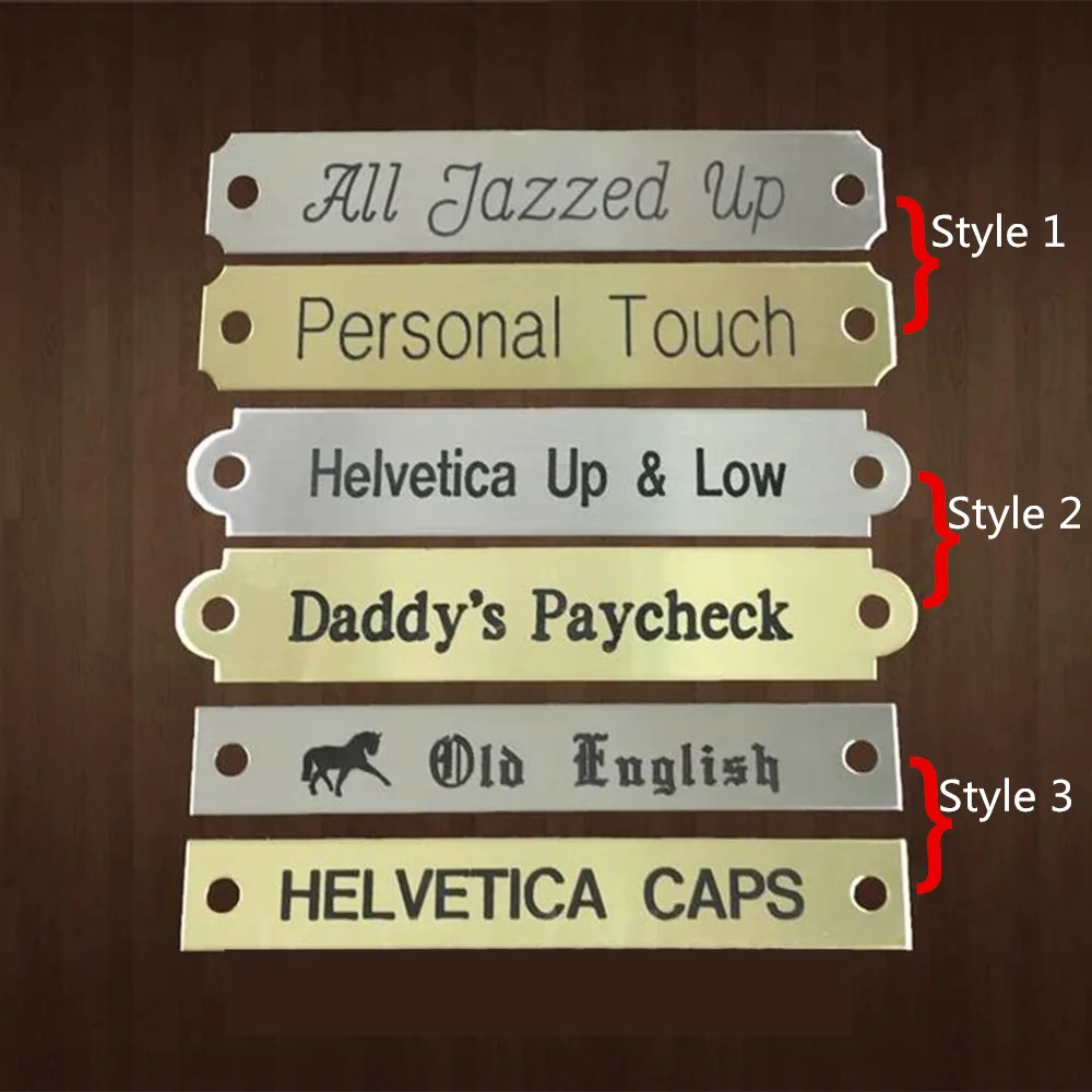 2pcs Personalized Engraved Nameplates for Bridles Custom Jewelry Martingale Plate Stainless Steel Halters and Saddles