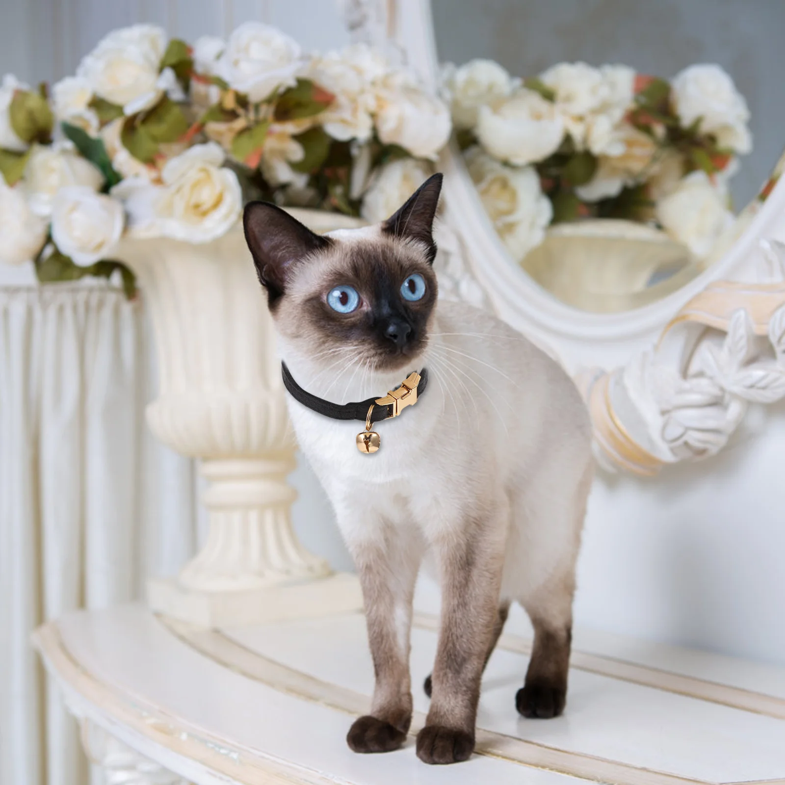 

1pcs Black Kitten Adjustable Buckle Jingle Bell Soft Pet Cat Collar For Indoor Outdoor Fancy Wedding Party Gift Small Cat Puppy