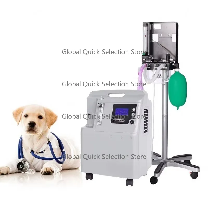 Pet Ox-ygen Generator Ve-terinary Ox-ygen Concentrator Price List 5L 10L Portabl-e Ox-ygen Concentrator for Sale
