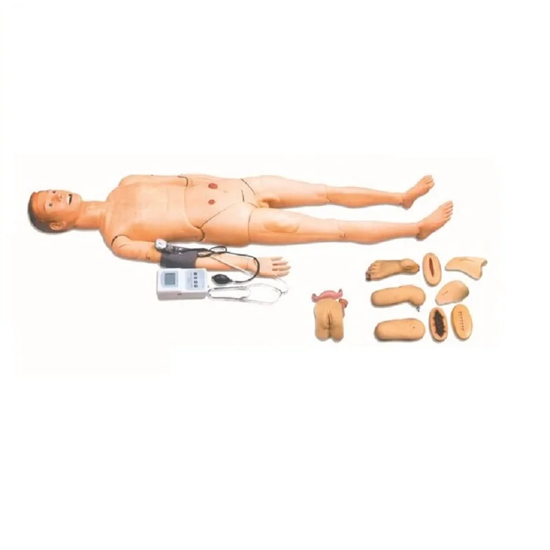 

Advanced Full Function Nursing Training Manikin (with Blood Pressure Measure) Nurse Model BIX-H2400