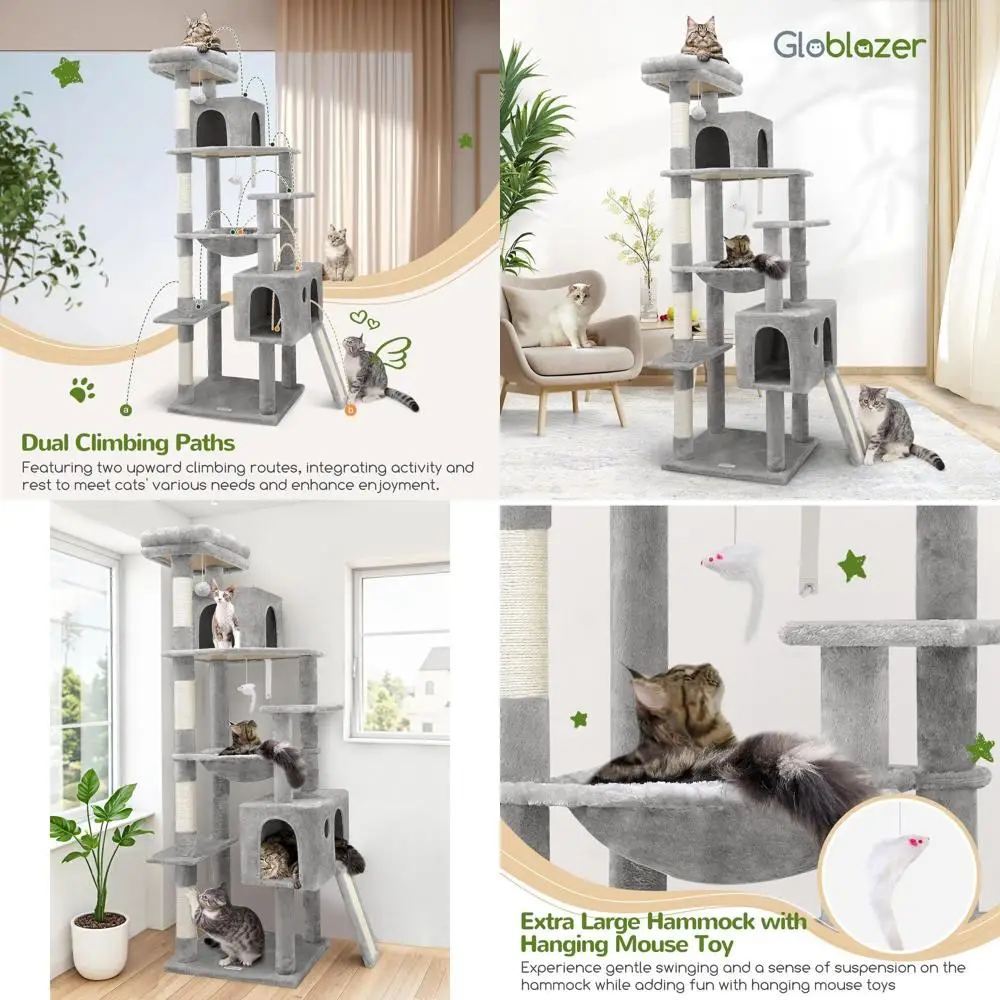 Sturdy 70 Indoor Ca…