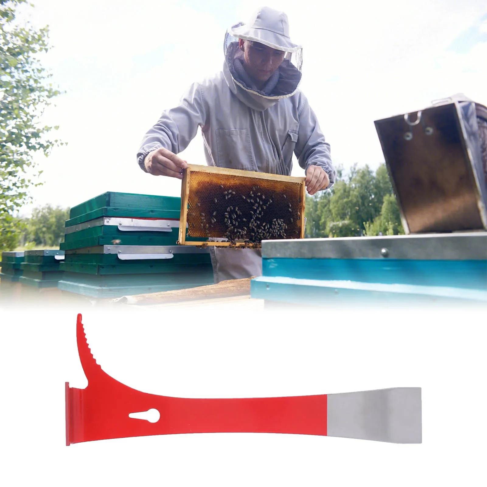 1PC Beekeepers Extracting Scraper Stainless Steel Honey Cutting Knife Beekeeping Equipment