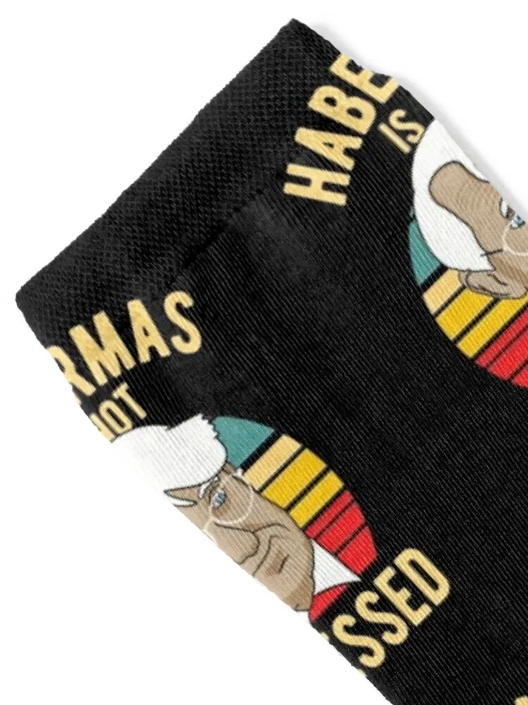 Habermas Is Not Impressed - Philosophy Socks valentine gift ideas christmas gift Men's Socks Women's