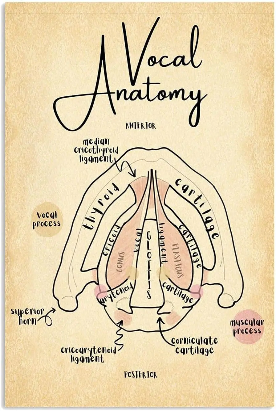 Panneau métallique de connaissance médicale, décor de bureau Vintage, affiche en étain d'anatomie vocale, décoration murale d'hôpital, Plaque d'art 8x
