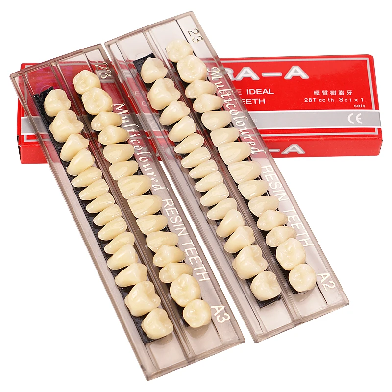 28pcs Resin Denture Teeth Dental Synthetic Teeth Full Mouth Permanent A2 A3 Dental Synthetic Teeth Dentistry Teaching Model