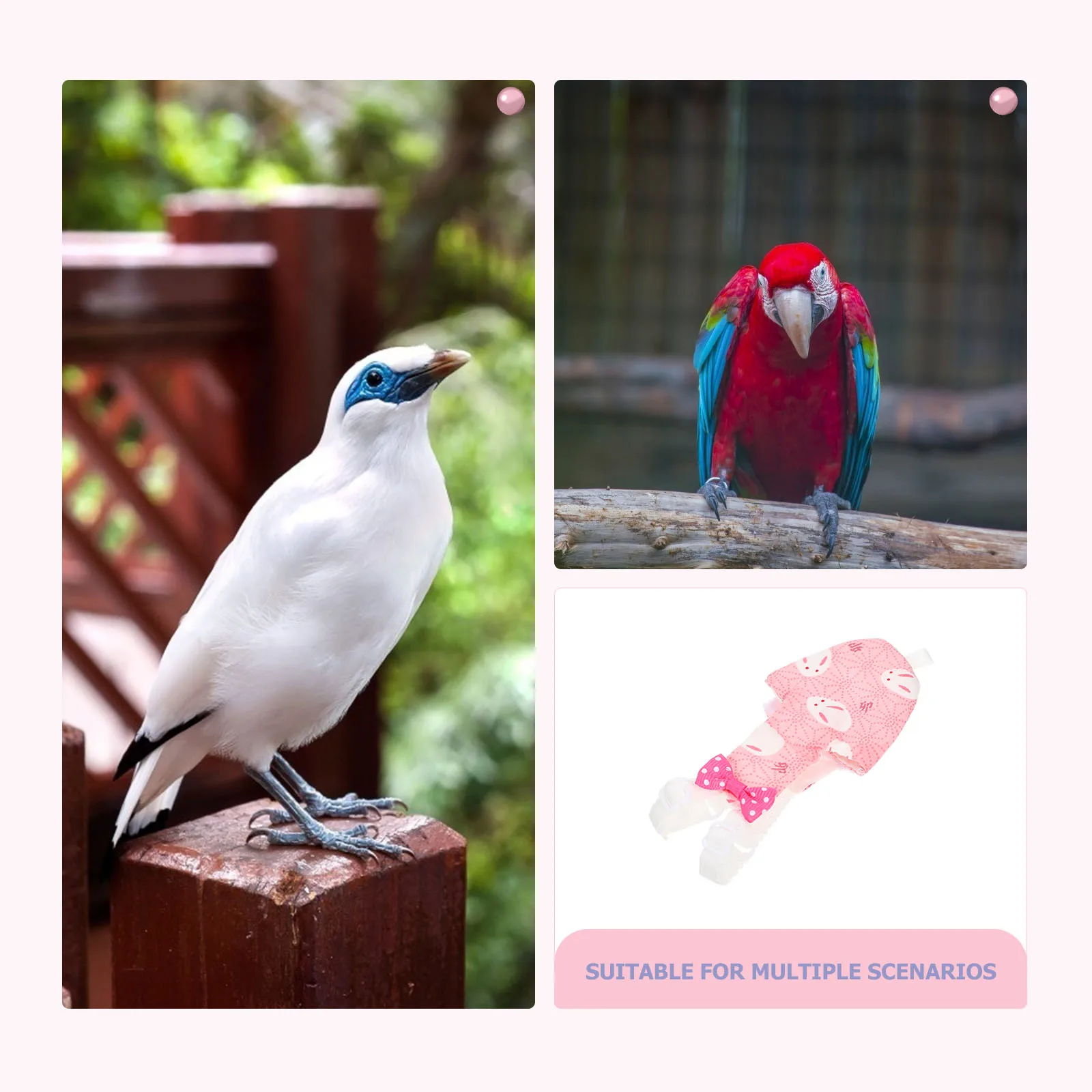 

Parrot Nappy Washable Bird Diaper Decorative Clothes Easy to Wear and Take Off Premium Flight Suit Bird Clothes