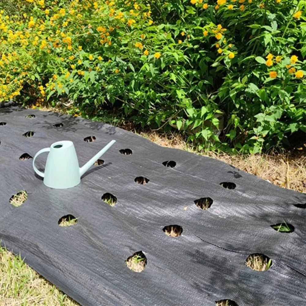Pre-punched Holes Perforated Grass Proof Cloth Biodegradable Double Layer Weed Proof Cloth with Ground Nails UV Resistant