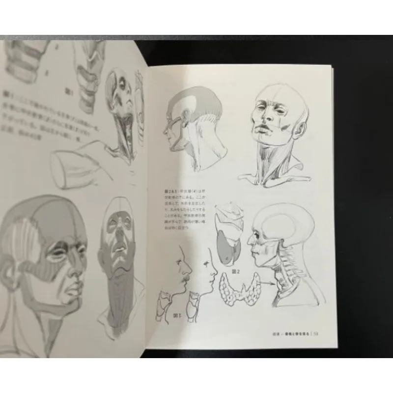 Face Head and Neck Painting Tutorial Book Morpho 10 Human Figure Drawing Proportion Anatomy Step-by-Step Guide Michel Lauricella