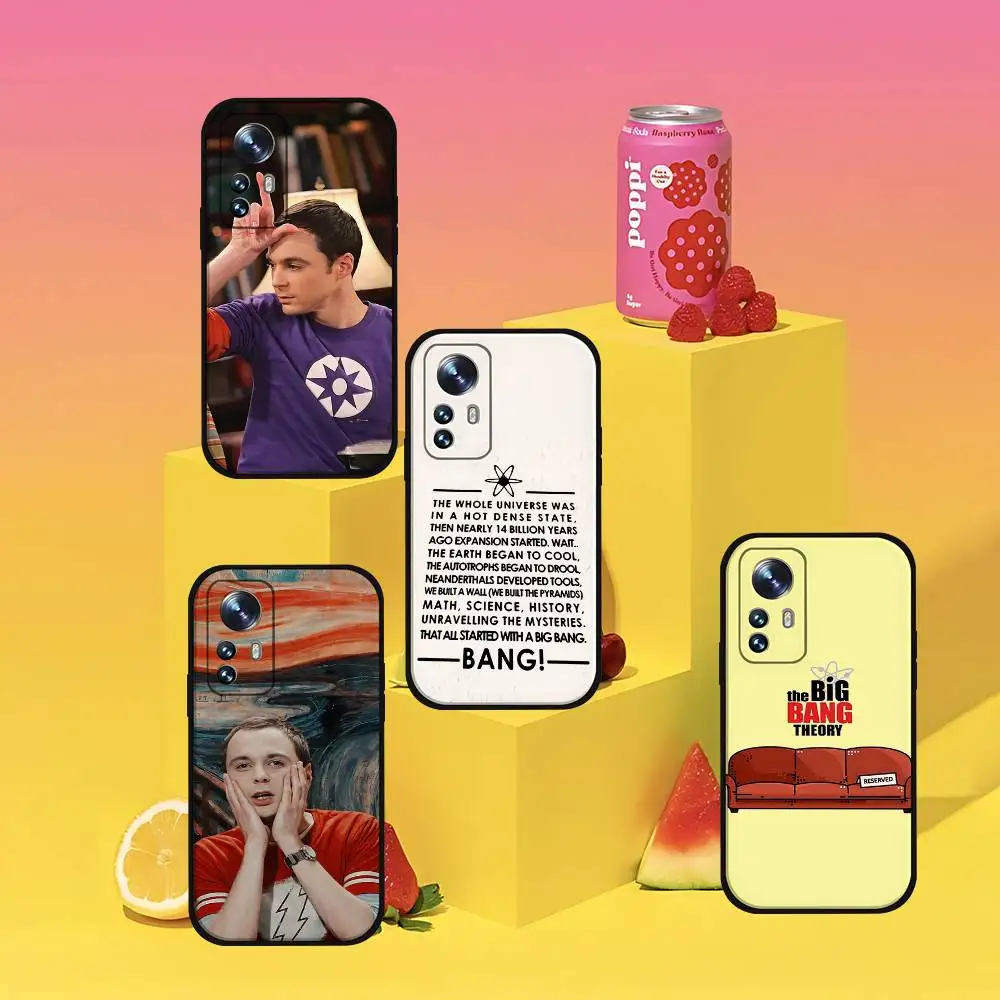 

The Big Bang Theory Phone Case For Xiaomi 11 12 Redmi Note 11 5G 8T 9A 9 10T Note 8 9 12SUltra Shockproof, Slim, Black,Case