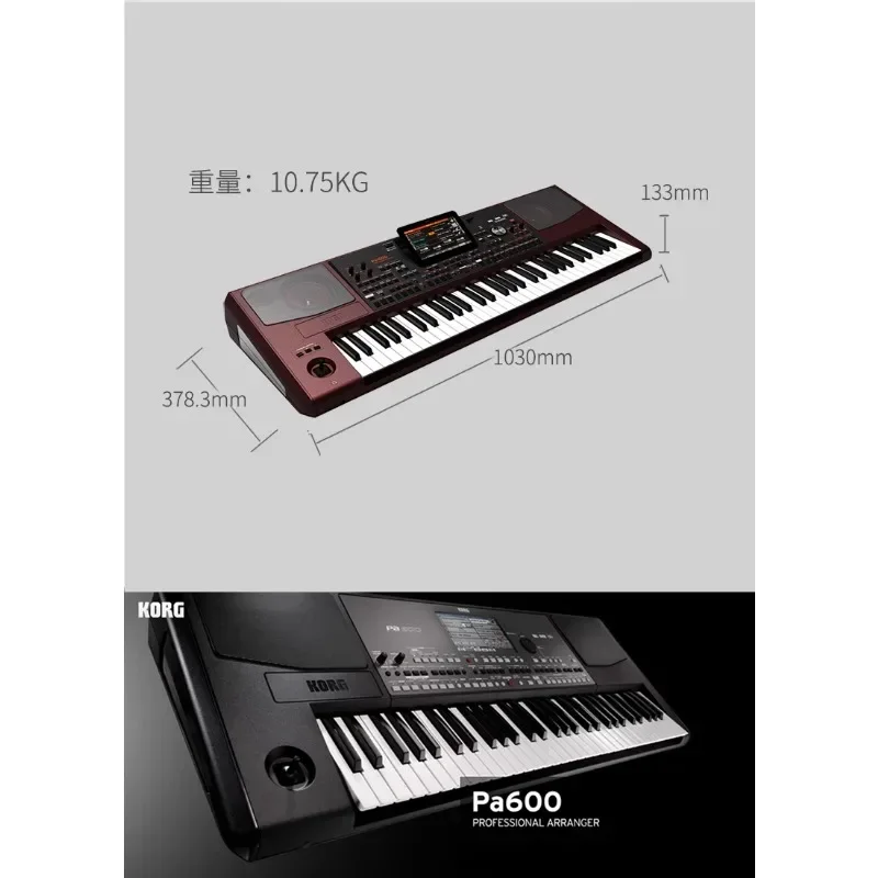 Synthesizer automatic backing track arranger keyboard PA700 1000 300 600 PA5X EK50 electronic organ