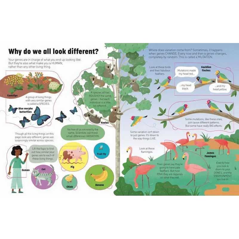See Inside Genes And DNA Alice James Usborne Publishing 9781474943628 Book