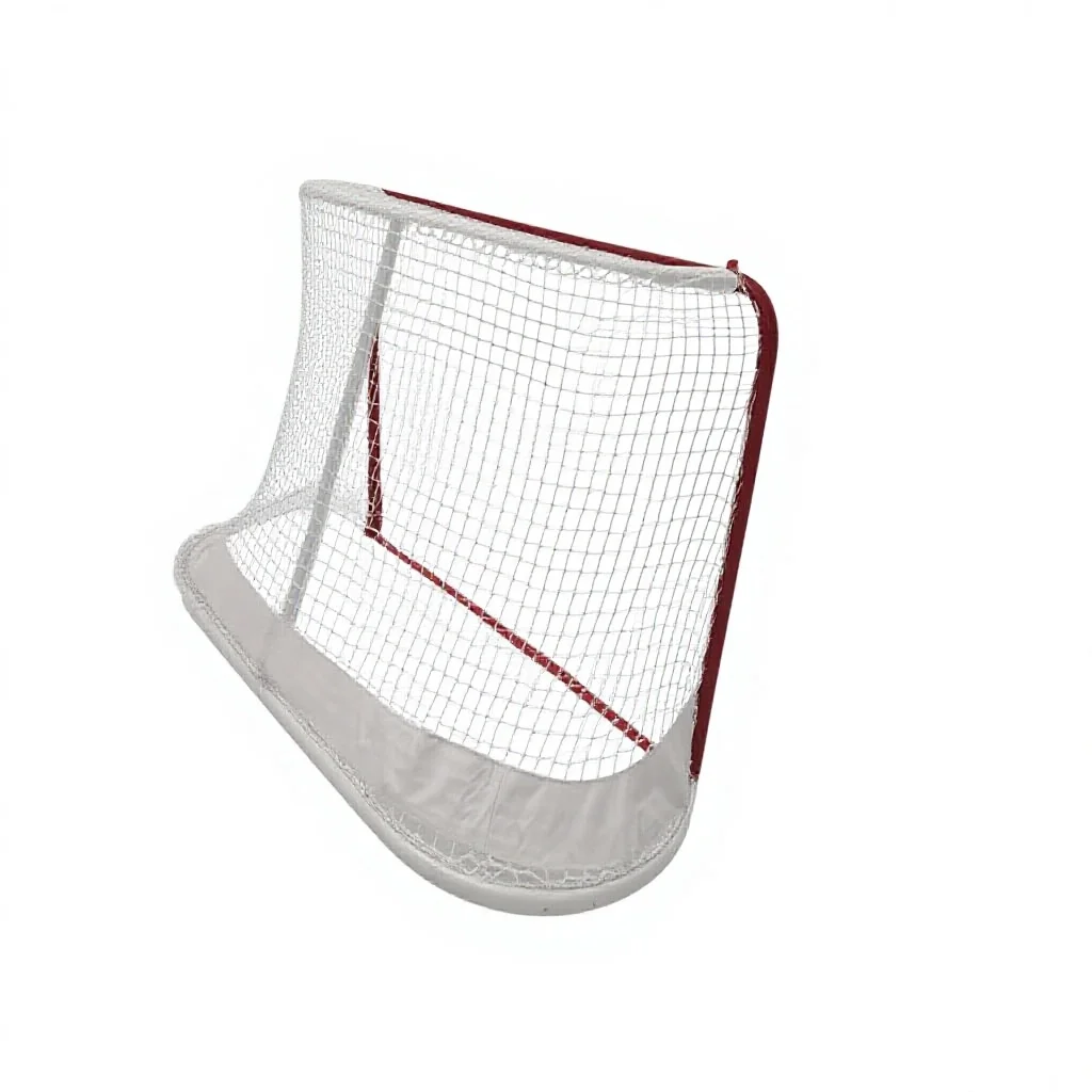 Immagine 5: Porta da hockey su ghiaccio da esterno con rete