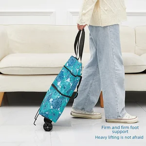 Tragbarer Klappeinkaufswagen, Roll -Supermarktwagen, erweiterbare tragbare Einkaufstasche, Gemüsekaufwagen 11 Hauptverkaufswagen zurück - №9