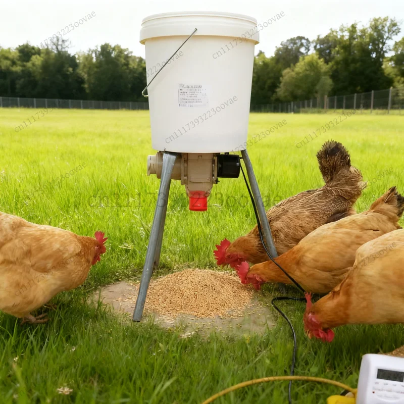 LF-Automatic Chicken Feeder with Timer Programmable Poultry Feeder Dispenser for Chickens Pigeons Pet Feeding Schedule Supplies