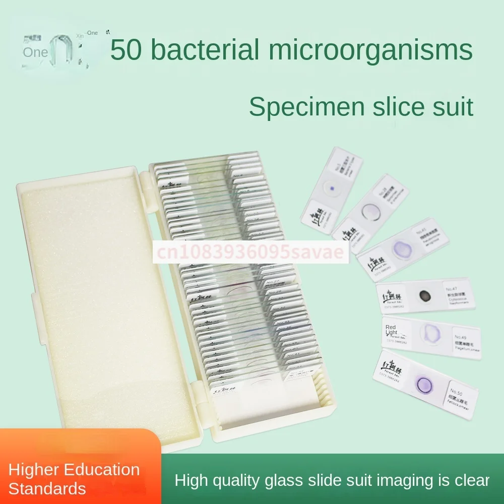 Medical Microbiology Research on Gram Staining of 50 Bacterial Microbial Specimens