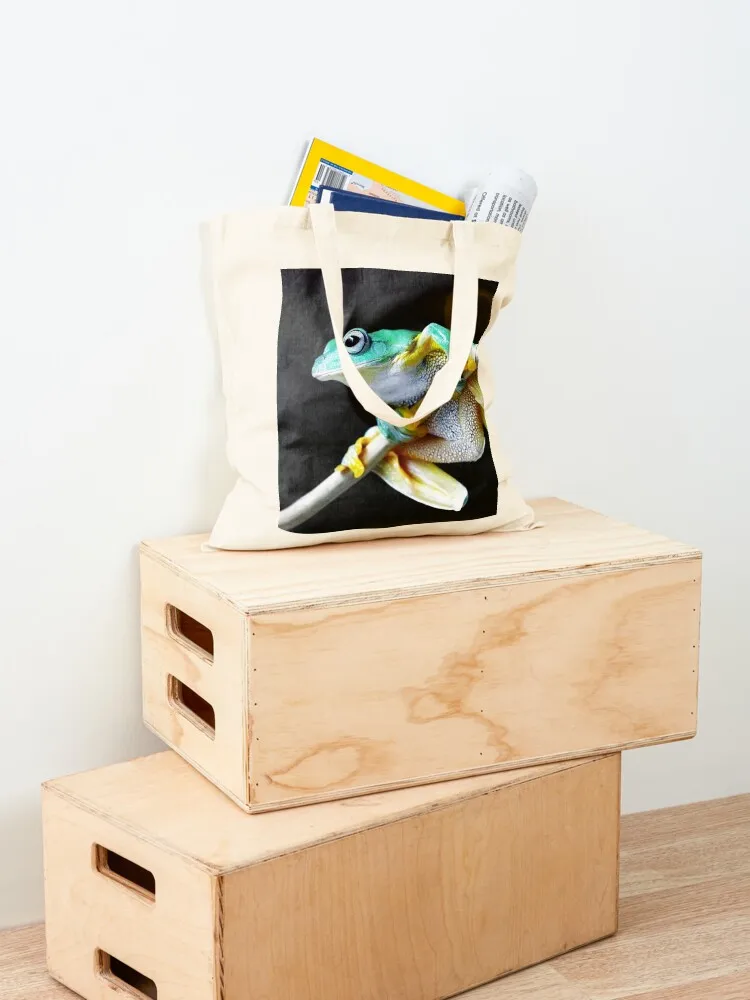 الأخضر الأصفر الضفدع صور طبيعة التصوير الفوتوغرافي الضفدع عشاق دمبي الأسود العينين الحيوانات الأليفة البرمائية حمل حقيبة