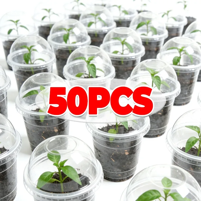 Macetas Transparentes para Vivero con Tapa, 300 ml, Transparentes, Visibles, para el Crecimiento de Raíces, Reutilizables, de Plástico, para Plantas, Vegetales y Plántulas