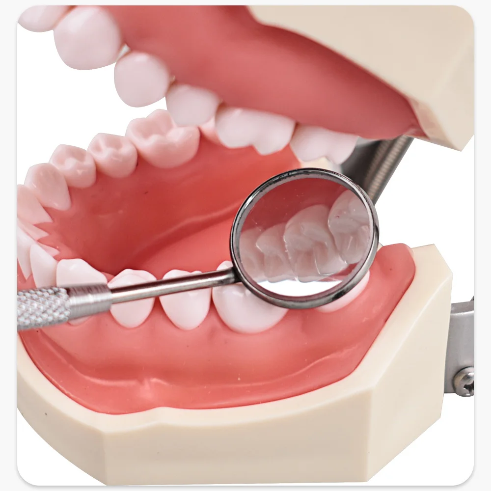 1Pc Dental Mouth Mirror Stainless Steel Anti-Fog Front Surface 4/5 Size Dentist Tools Clinic Equipment Dengtistry
