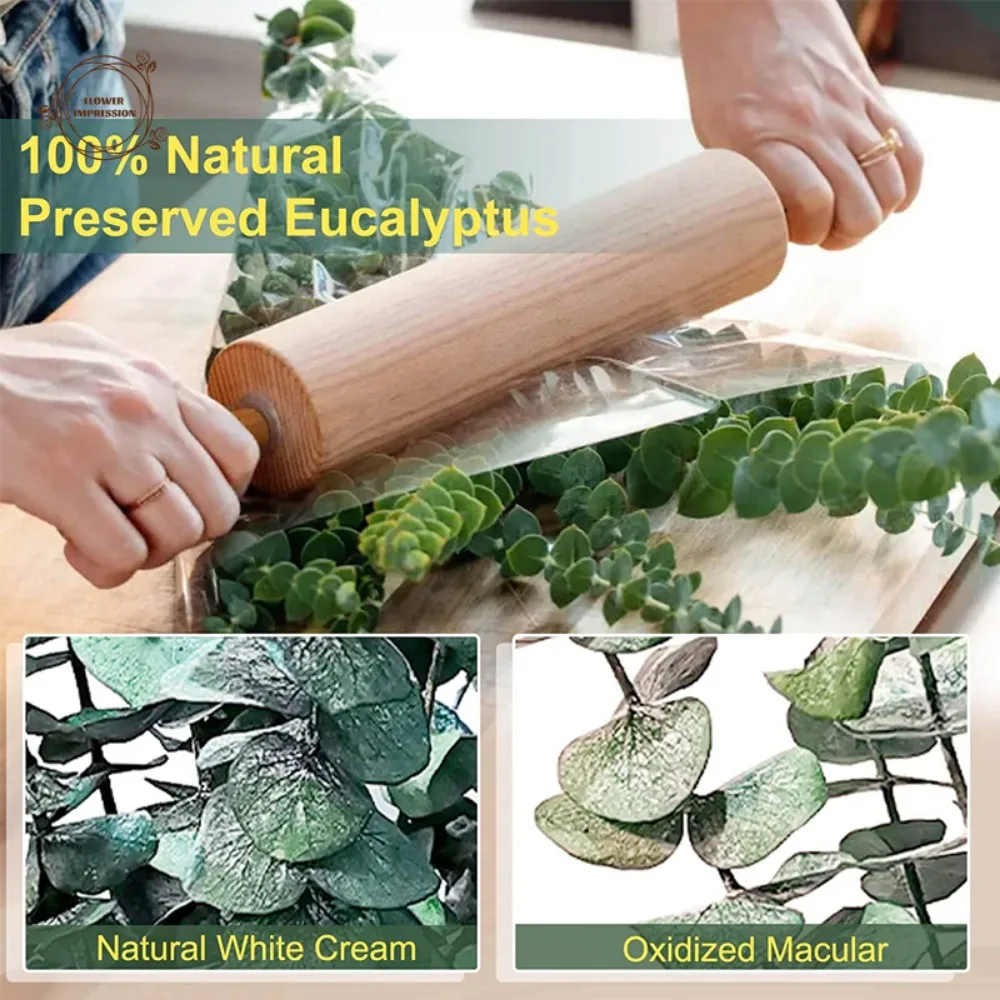5/10/20 stücke künstlich getrocknete konservierte Eukalyptus blätter Zweige Duschen Hochzeits arrangements Eukalyptu Pflanzen Vase Wohnkultur – Detail 17
