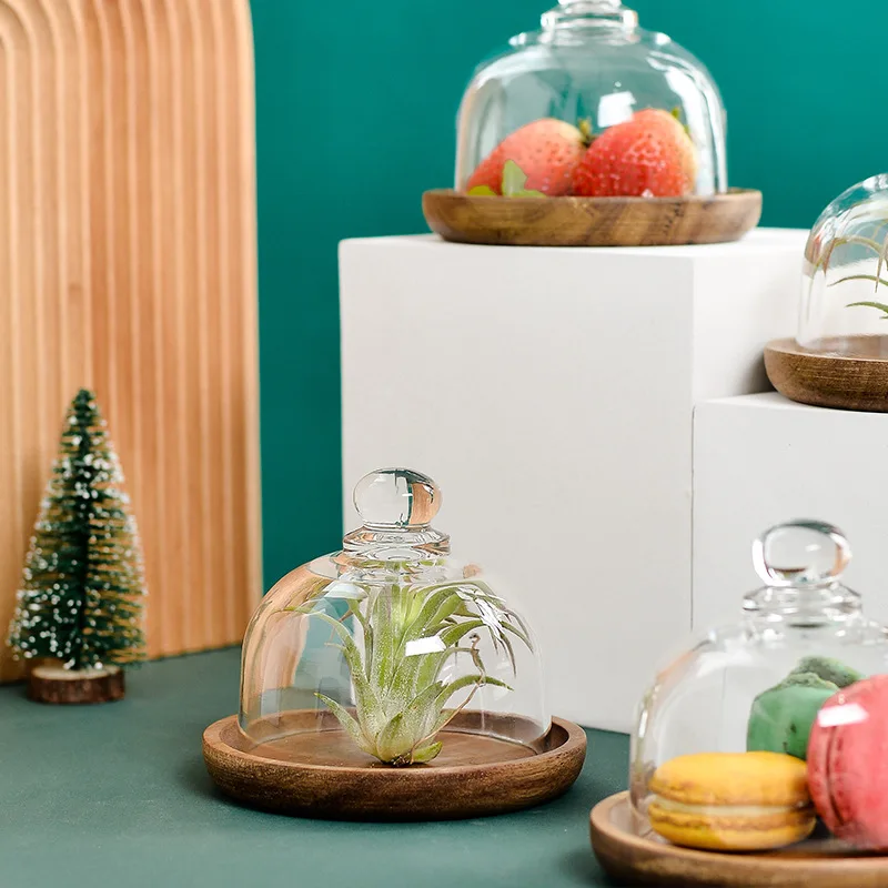 

Glass Dome with Wooden Base Mini Cheese Plant Platter Dessert Plate Cake Plate for Candy Decorative and Succulents Display