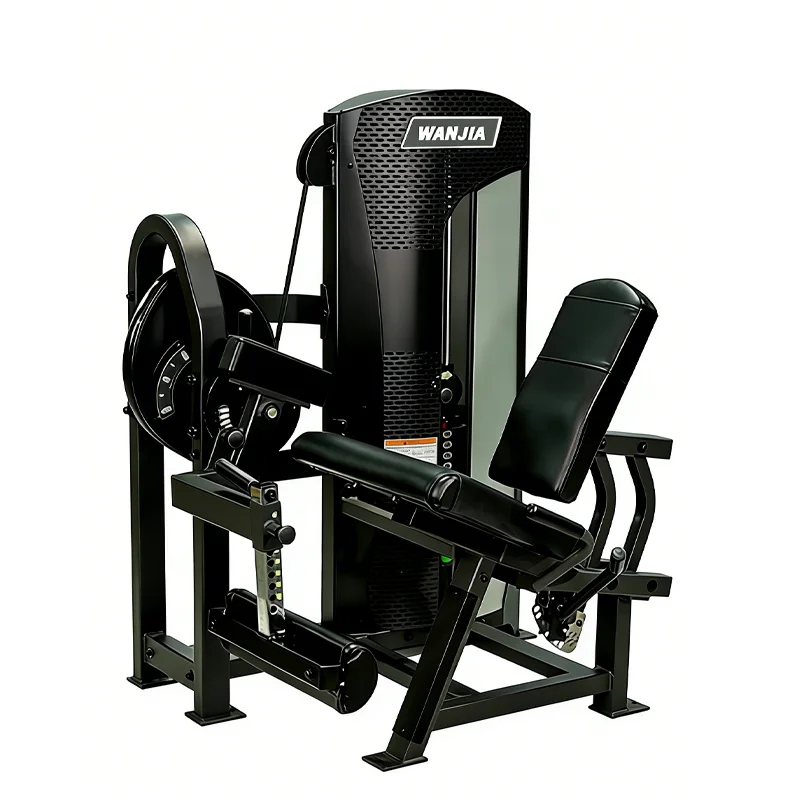 Customized Workout Fitness Club Indoor Pin Loaded Muscle Training Seated Leg Extension Machine for Exercise