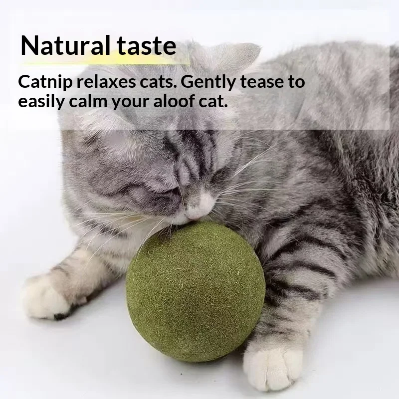 Catnip Ball Extra Large Cat Toy 10cm Giant Ball Self-Entertainment Stress-Relief Tool for Kitten Play Pet Supplies