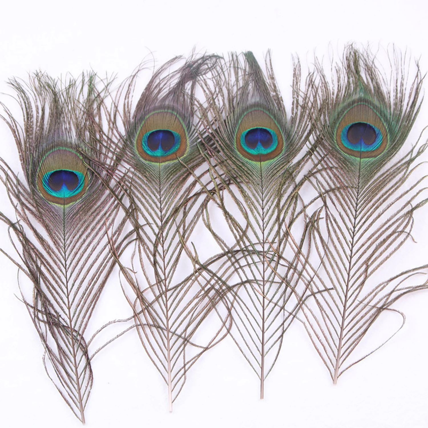 10Pcs/lot Peacock Feather Length 25-30cm10-12" Natural Peacock Feathers for Crafts Peacock Decorations for Home Hotel Decoration