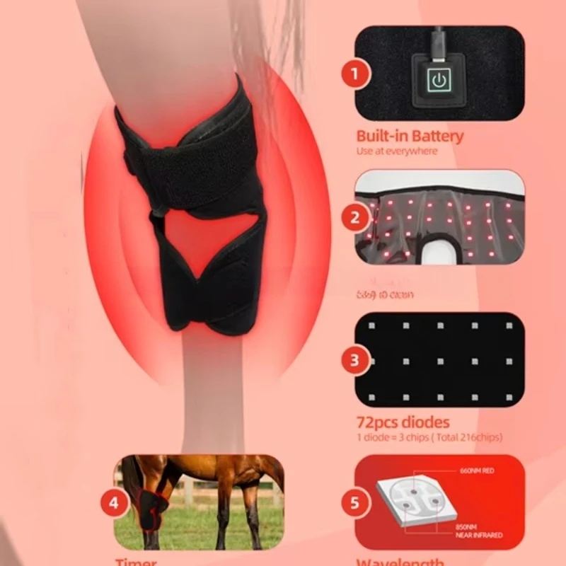 Built-in battery 660 nm 850 nm knee equine red light therapy
