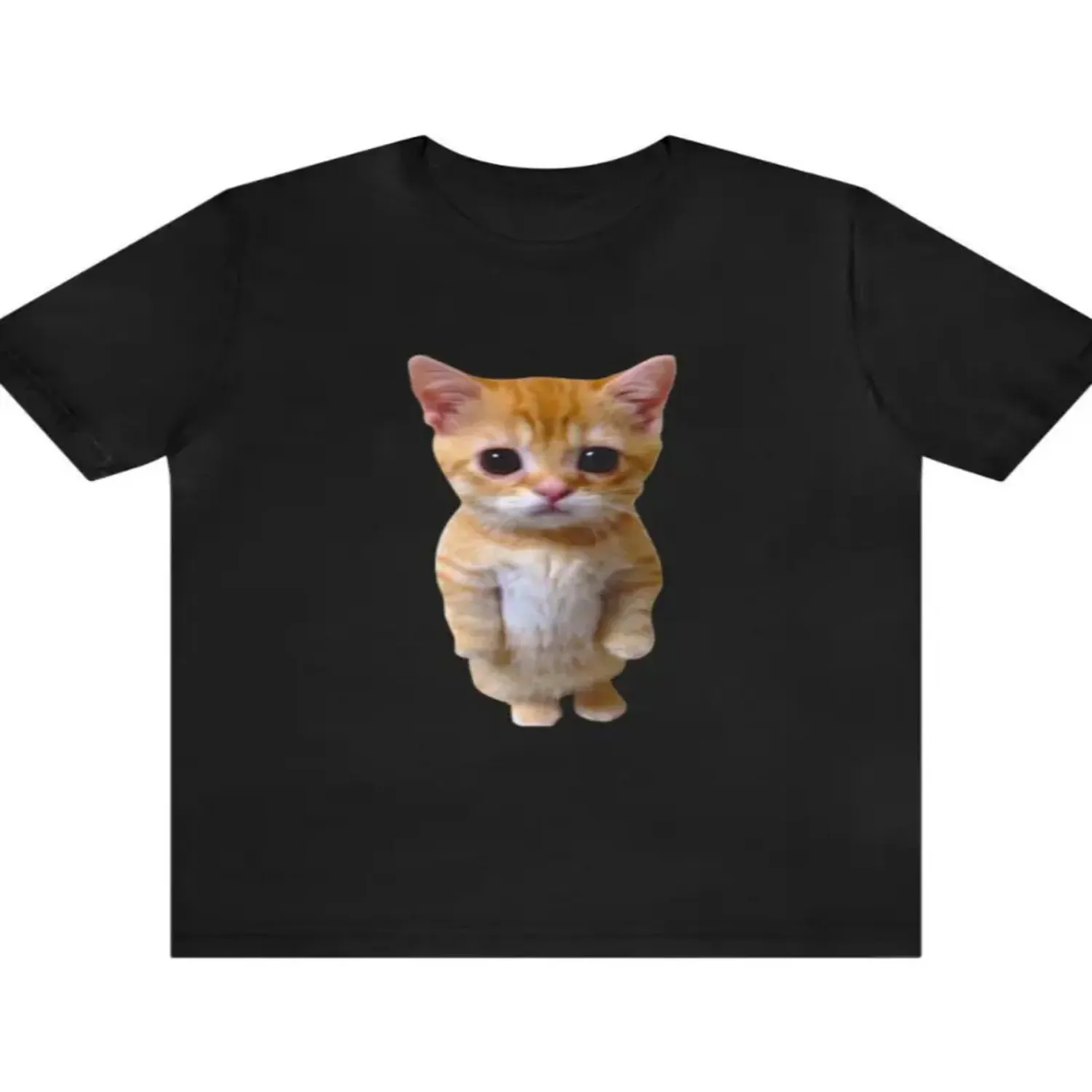 Sad Crying Cat Munchkin Kitty Meme Fashion T-Shirt, Couple Outfit 2026 Men'S T-Shirt Short Sleeve T Shirt, Birthday Gift Tee