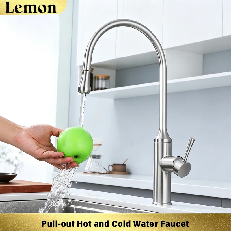 Pull-Out Kitchen Faucet, 304 Stainless Steel Sink, Balcony Vegetable Washing Basin, Hot and Cold Water Faucet