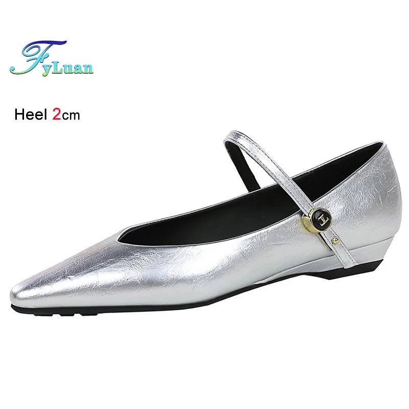 2025 موضة الصيف فضي أحذية نسائية كعوب منخفضة مائلة 2 سنتيمتر أشار رئيس Laides مضخات الفم الضحلة أحذية الحفلات حجم 35-40 #6