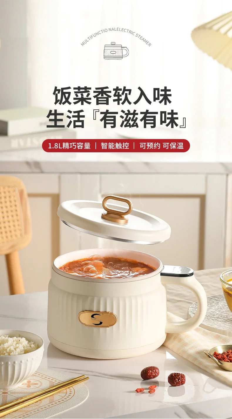 طباخ كهربائي 110 فولت، وعاء طبخ صغير محمول للسفر، خفيف الوزن، تسخين سريع