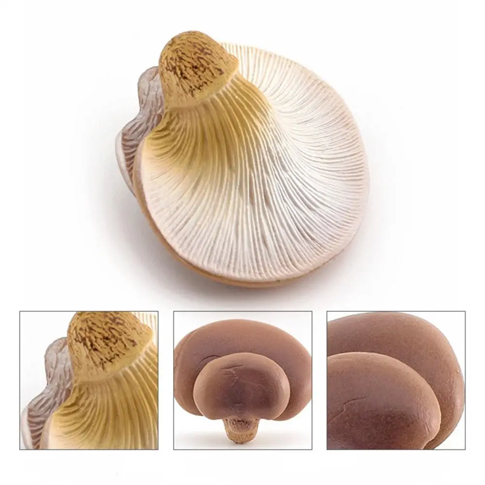 Vegetable Model Fungus Figurines Matsutake Oyste Artificial Simulation Mushroom Teaching Plant Fungus Model Photograph Props