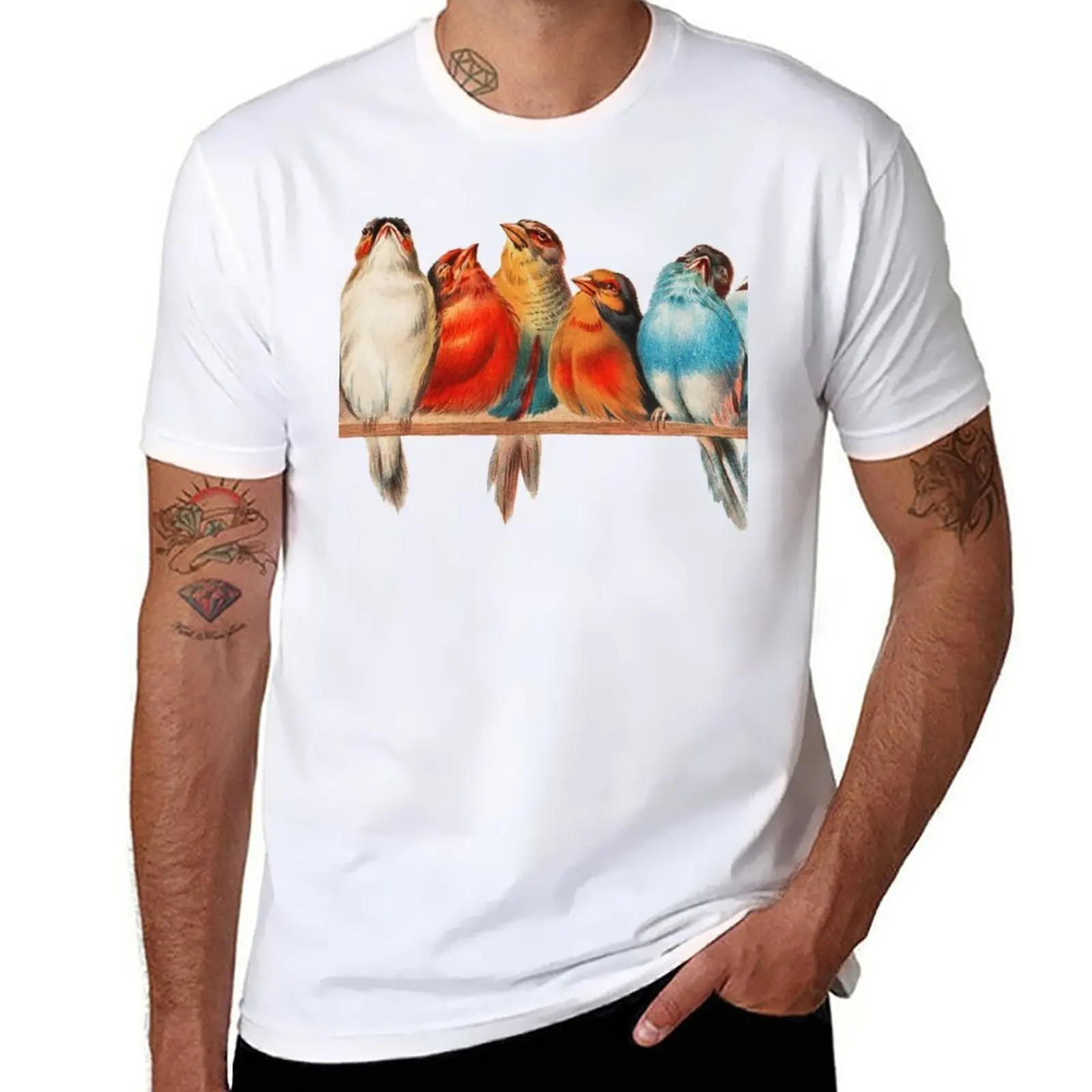 

New A Perch of Birds Vintage Illustration T-Shirt Short sleeve tee vintage t shirt t shirts for men cotton