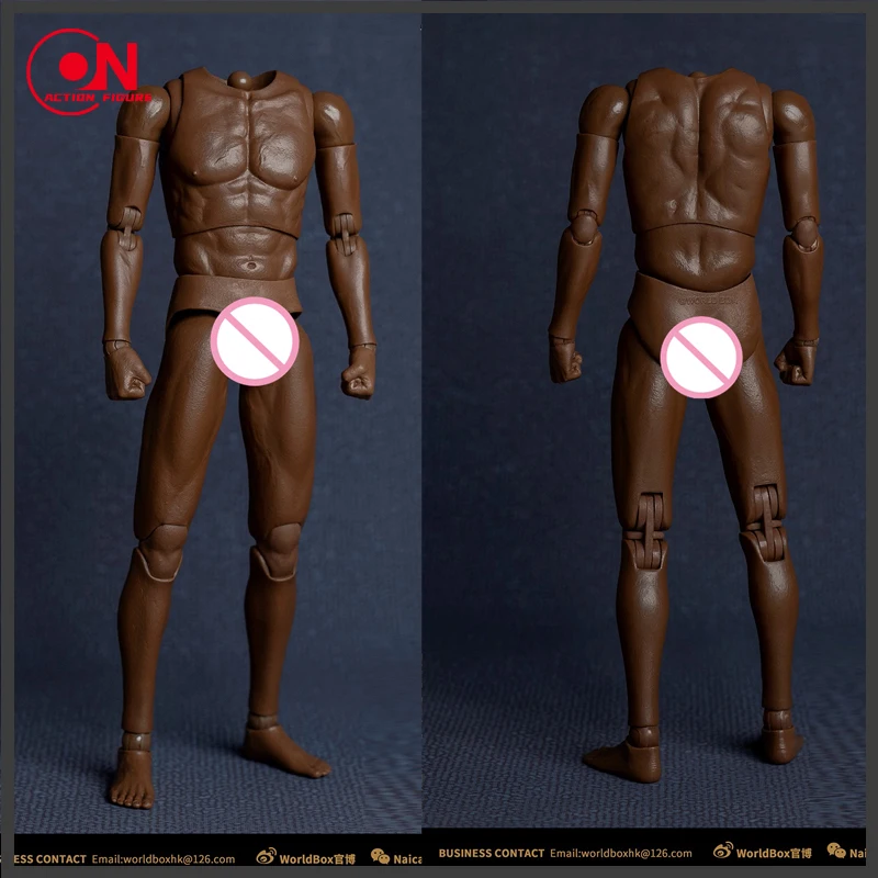 In Stock Worldbox AT032 1/6 Men's Suntan Strong Muscle Movement Chart 12 