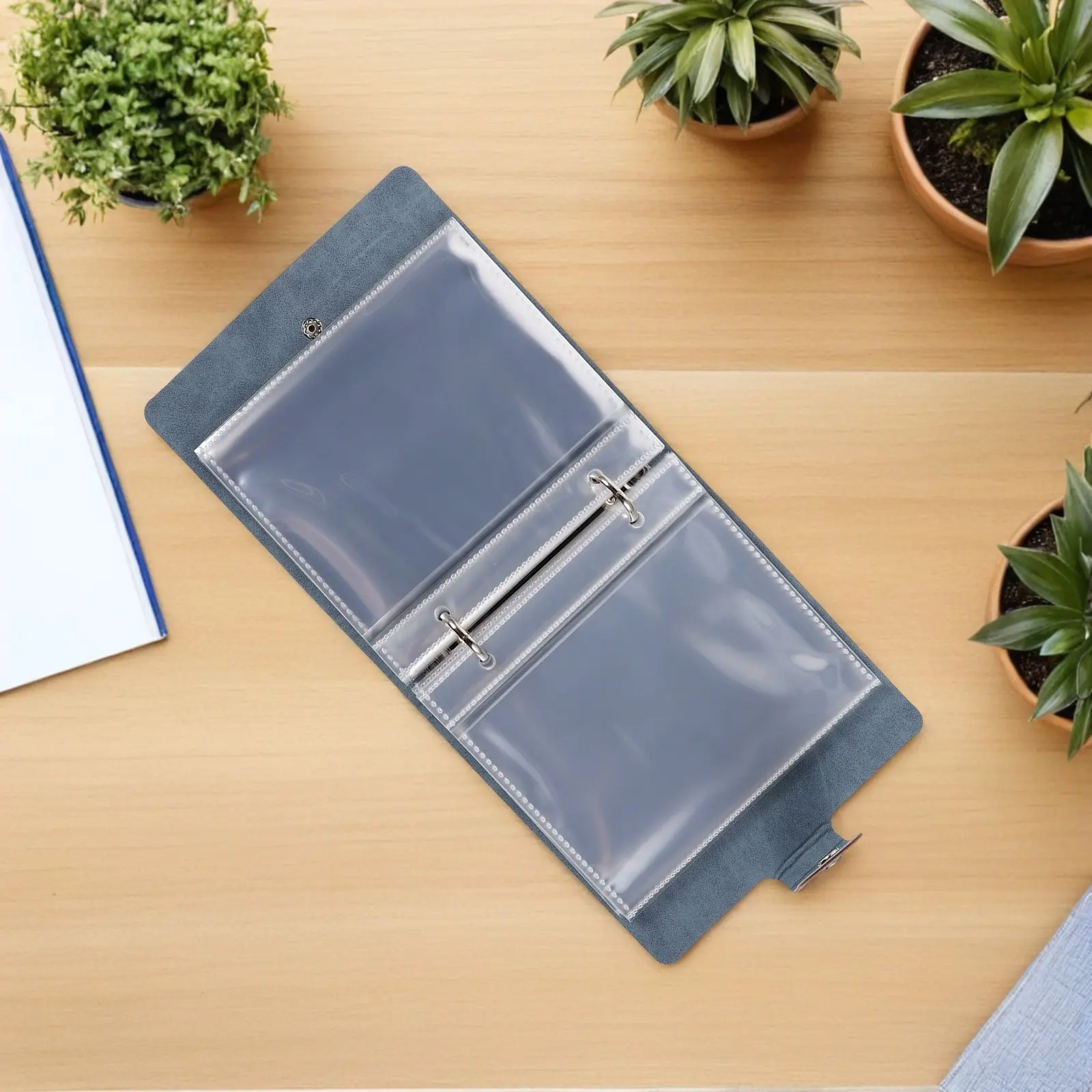 

Набор из 1 органайзера для семян с 25 прозрачными карманами и 50 пакетами для семян, большой емкости, с имитацией дизайна, для дома и сада