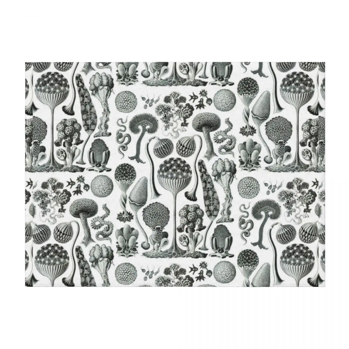 

Ernst Haeckel - Mycetozoa Throw Blanket Decorative Beds Furry funny gift Flannel Blankets