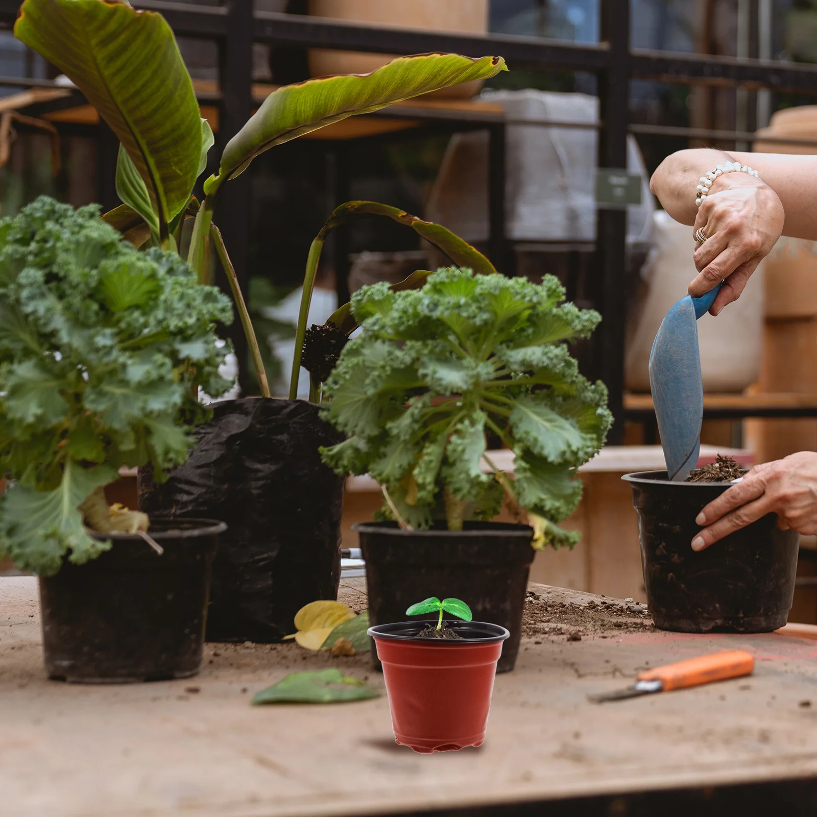 

100pcs Seedling Pot Plant Nursery Cultivation Cup Gardening Container Large Indoor Outdoor Flower Propagator pots Lightweight