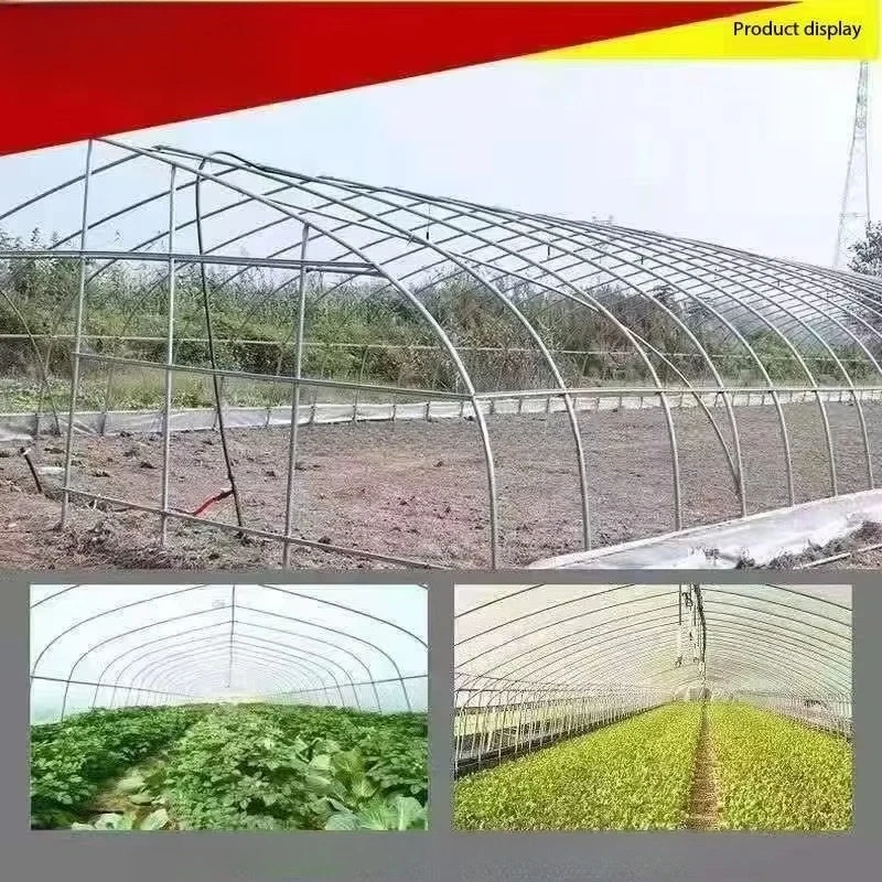 الدفيئة الزراعية ذات الأنبوب الدائري لزراعة هيكل الدفيئة المتين ومتعدد الاستخدامات #1