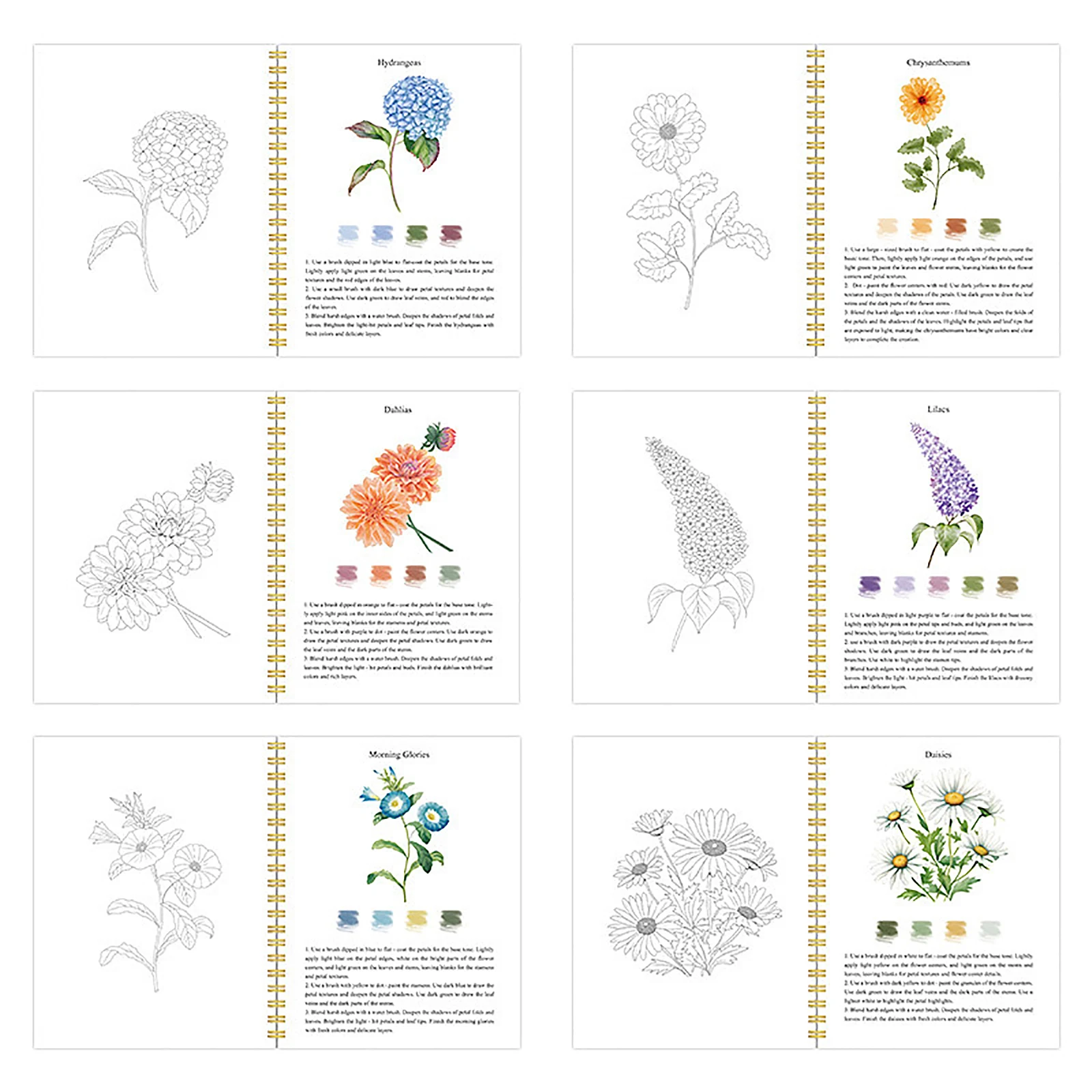 Watercolor Coloring Book For Beginners Watercolor Practice Pad Graffiti Book Cultivate Painting Talent Coloring Book For Adult