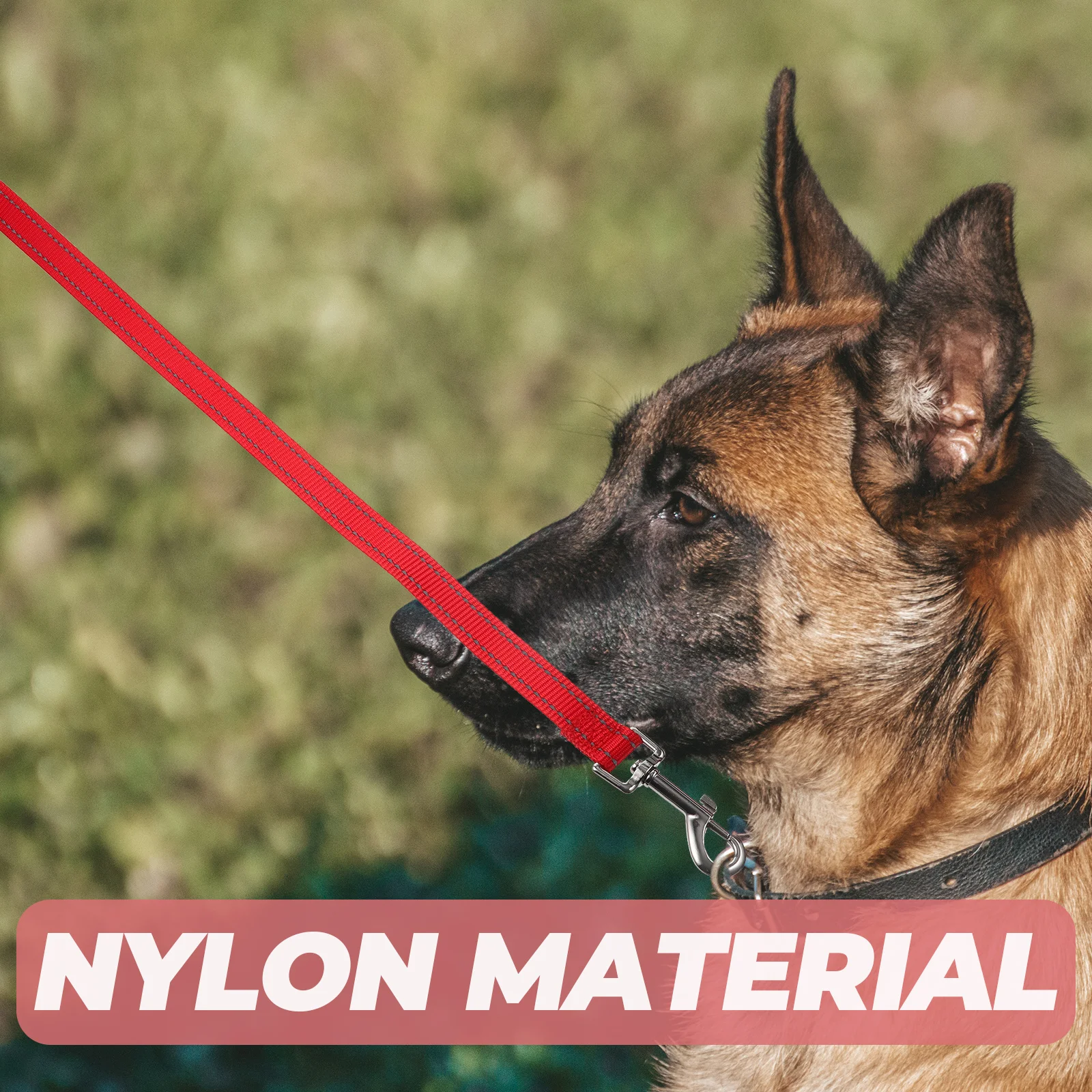 

Reflective Dog Nylon Rope For Walking Training Outdoor Puppy Leash With Ring Sturdy Heavy Duty For Small Medium Large Dogs