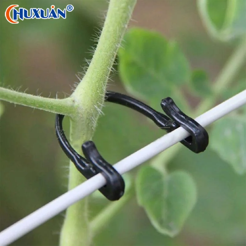 Q 50Pcs Plant Vine Binding Clip Garden Plants Fixed Clip Buckles Tomato Vegetable Grape Support Vine Clip Fixed Plant Clip