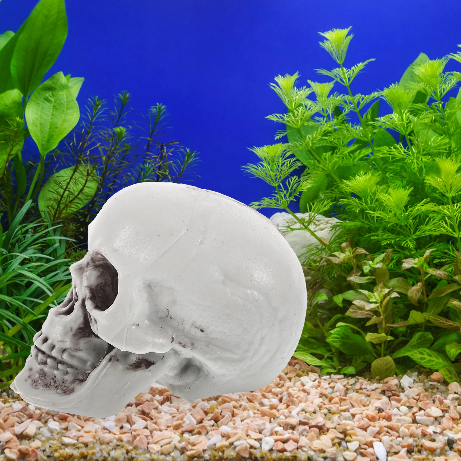 

6pcs Skull Models Resin Crafts Halloween Decorations Heads Mini Skulls Lightweight Storage Home Art Gifts